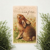 アンティークポストカード　【sa0820】