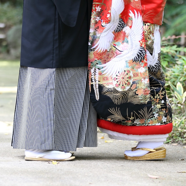 色打掛レンタル フルセット 茜地群鶴花車文 010