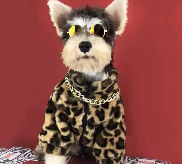 《予約》№1103112 もこもこジャガーパーカー