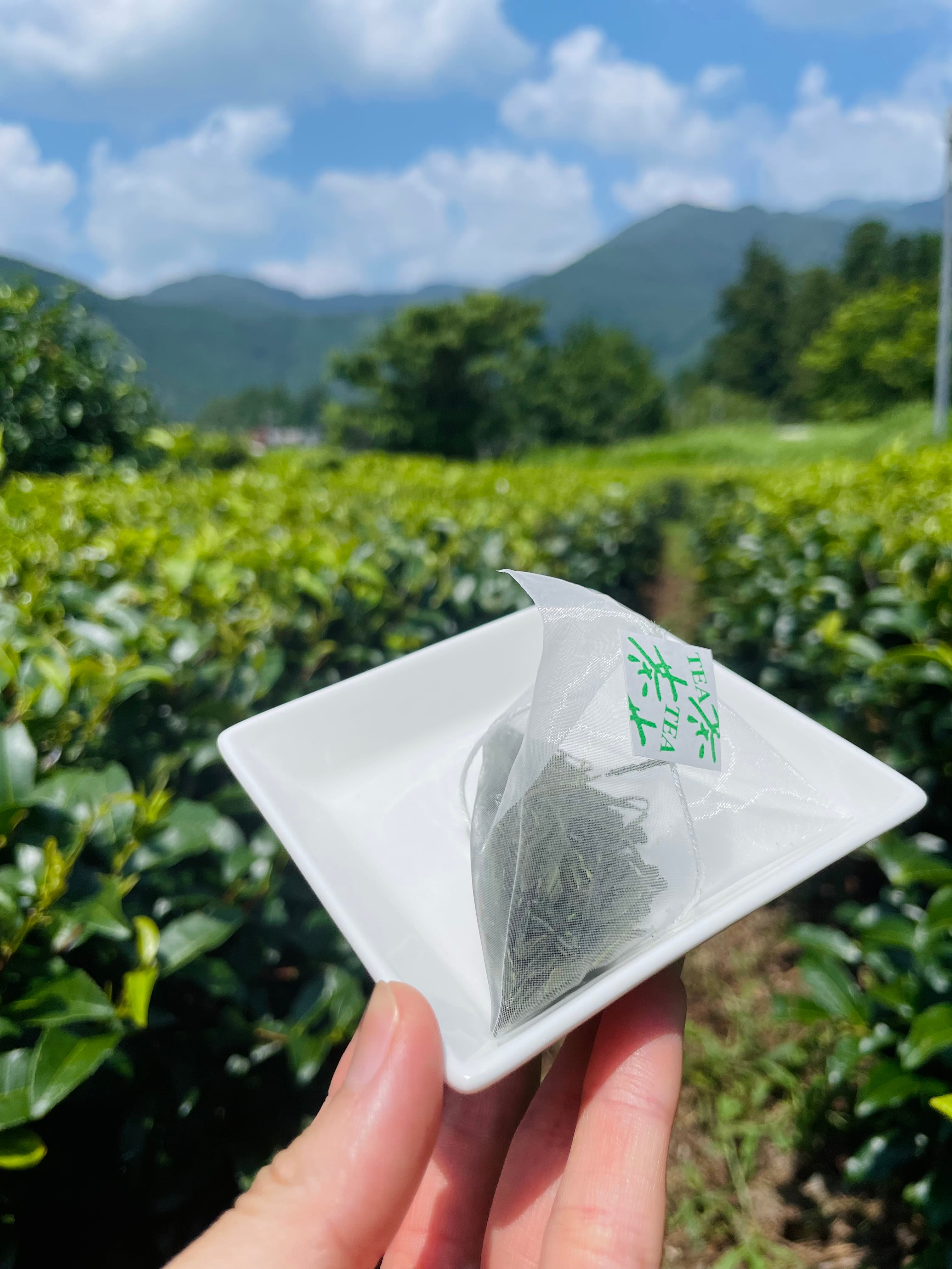 のみちゃ 2025ティーバッグ | 鈴木茶苑