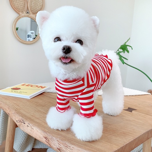 メローリブボーダーカットソー