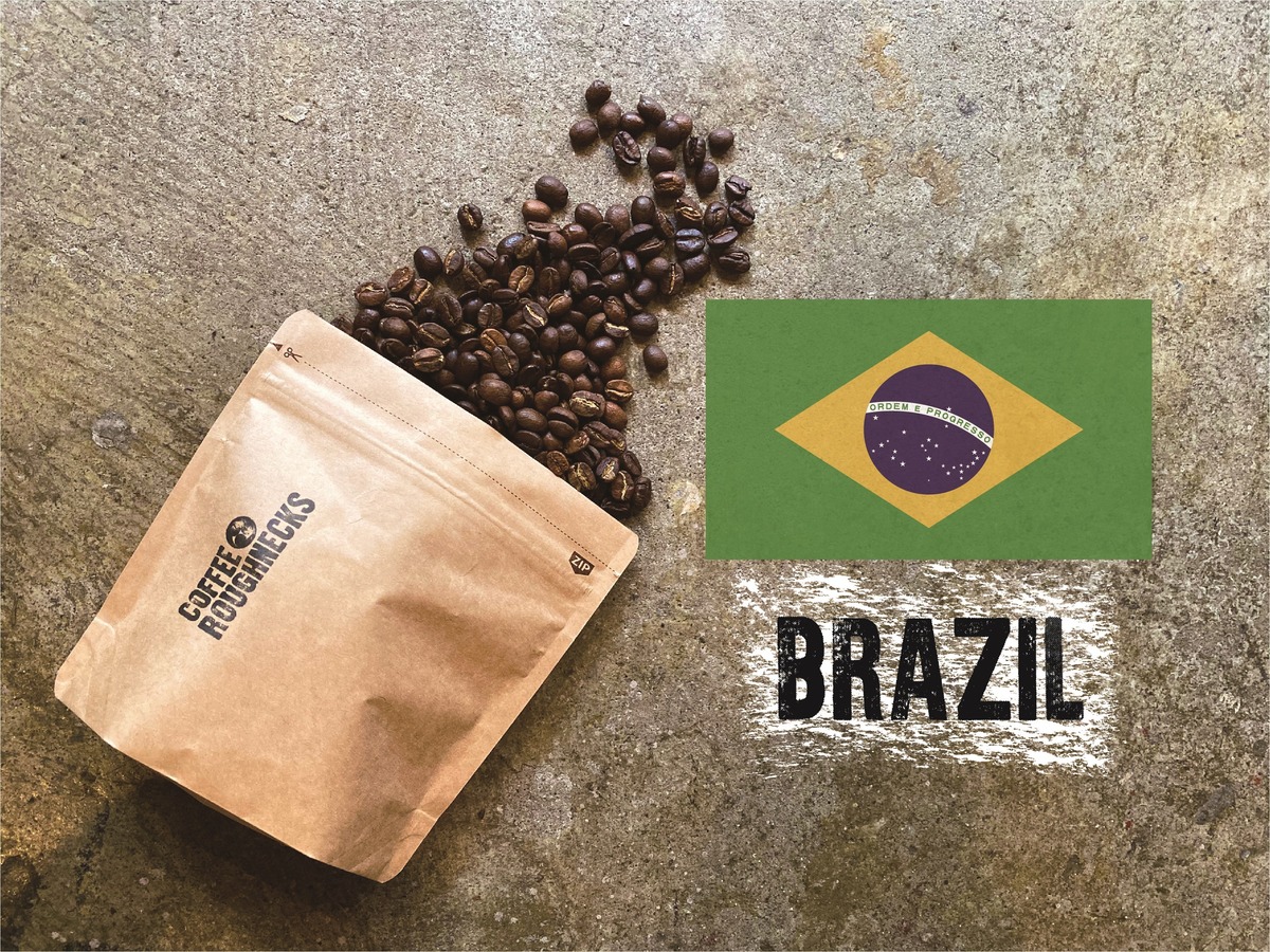 Brazil Santos No2