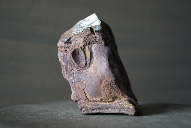 クムル産火山砕屑岩 Volcano-sedimentary Rock 1125