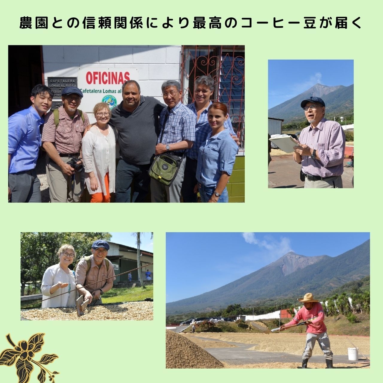 送料無料‼　岳山定期便（たっぷり500g）粉挽き済み