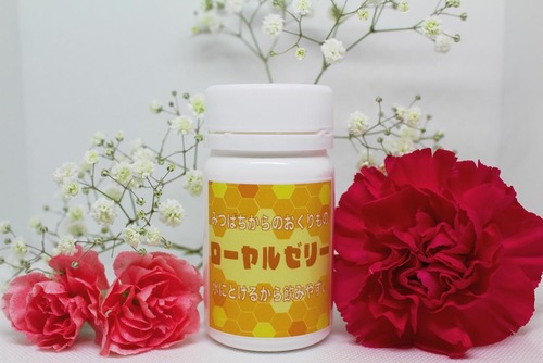 定期便切り替え・ご継続　シンプルプラン（2カ月）ローヤルゼリー