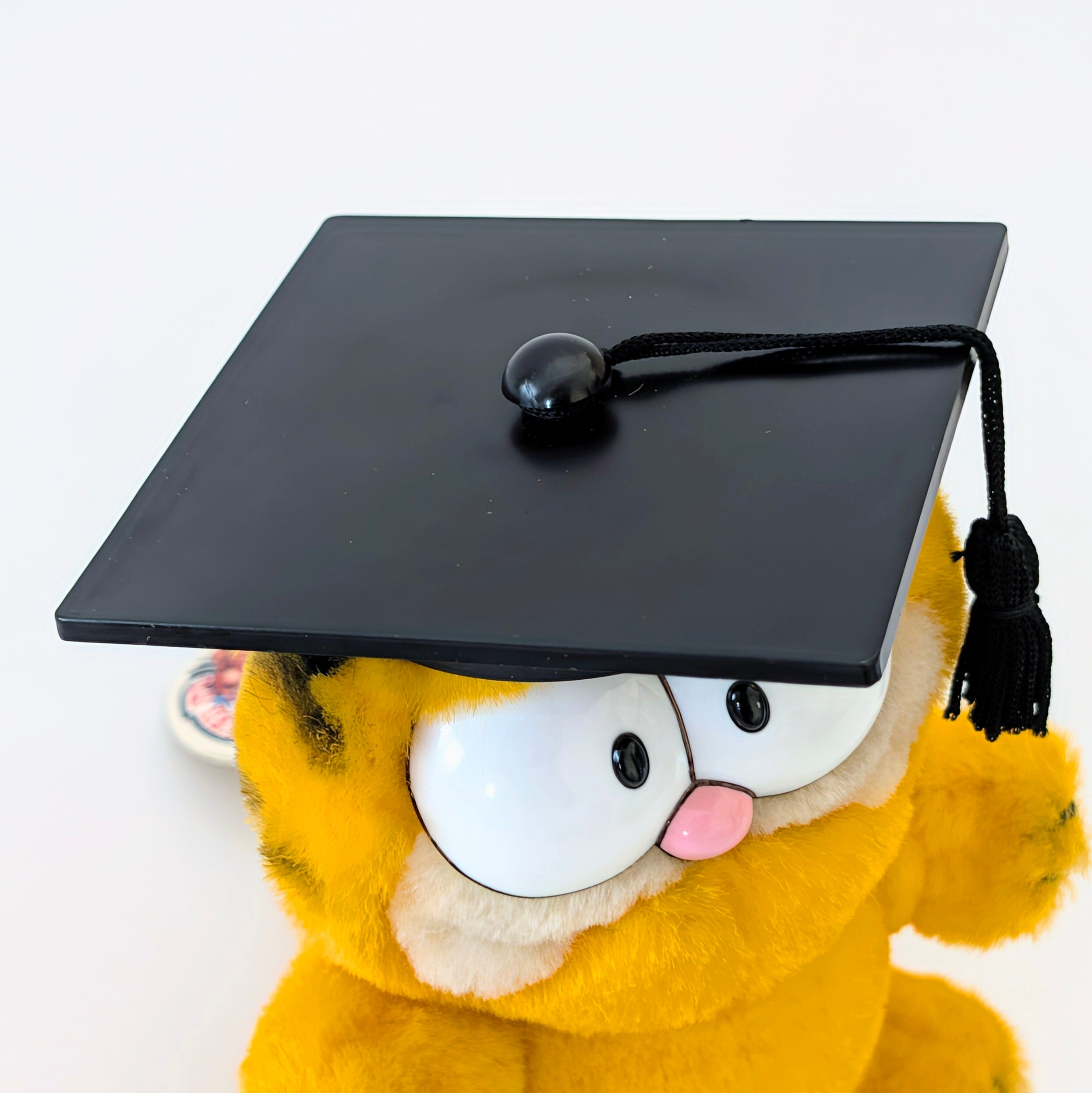 ☆ VINTAGE 1980年代初期☆【 Garfield ( ガーフィールド ) 】『 Garfield ガーフィールド 卒業式 ミニプラッシュ 』ぬいぐるみ / プラッシュ / plush / 1980年代年製 〚アメリカン雑貨 アメトイ〛