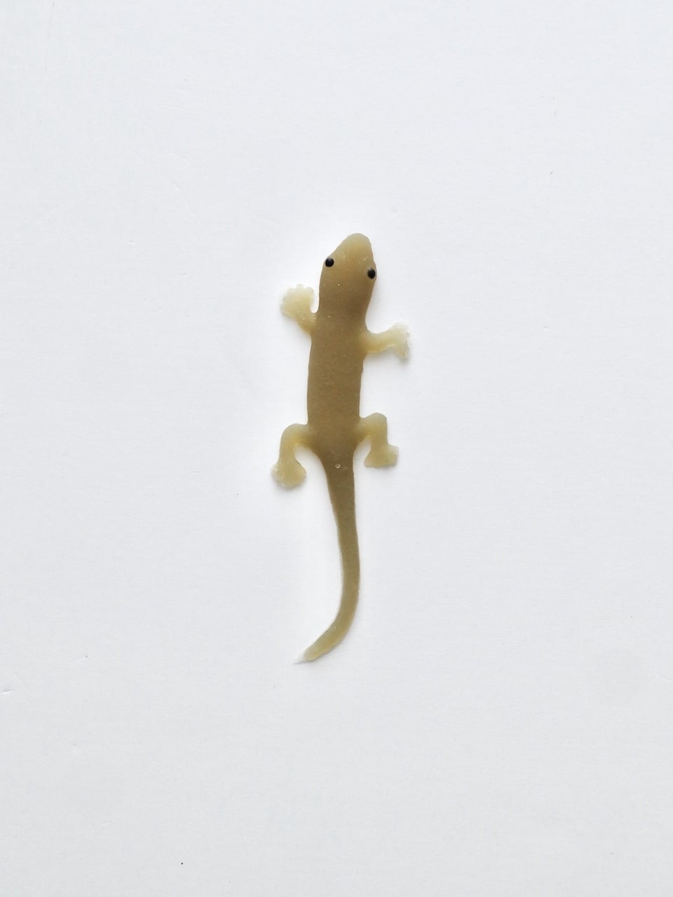 ヤモリのおもちゃ｜Rubber Gecko Toy | Sensitivity and Boldness