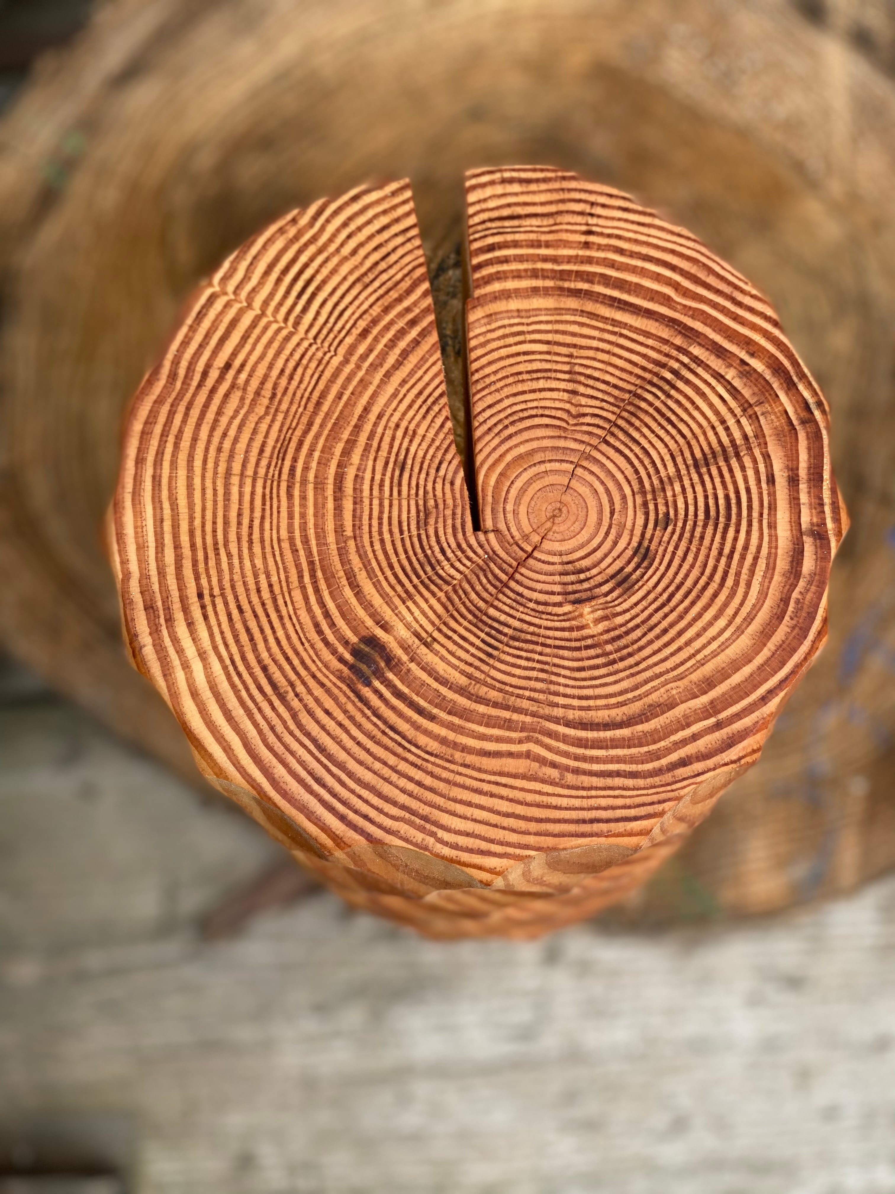 地松丸太【松bokkuri◇】スツール | syoueimeiboku