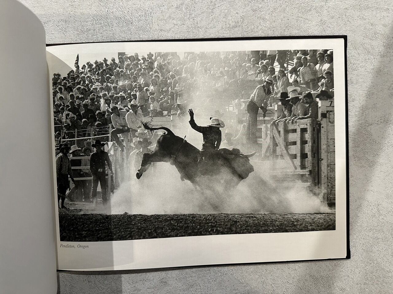 VA626】Rodeo /Norman Mauskopf | KITAZAWA BOOKSTORE
