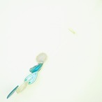 Sea Spray 02 - アゲートヒーリングチャイム / Agate Sun Catcher Wind Chime 084