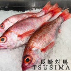 【ザワつく！金曜日紹介】さばの棒寿司 赤坂一颯の最高峰｜幻の800g超天然のど黒「ダイヤモンド」炙り棒寿司（個包装・冷蔵生配送）
