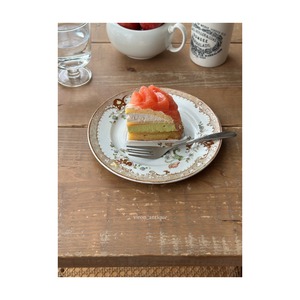 Creil et Montereau 　クレイユモントロー　/   “ALEXANDRA”  色付けされた花柄　平皿プレート　c