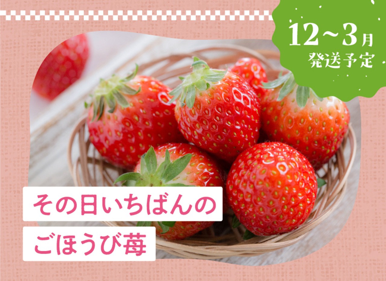 【予約販売】その日いちばんのごほうび苺