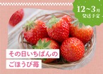 【予約販売】その日いちばんのごほうび苺