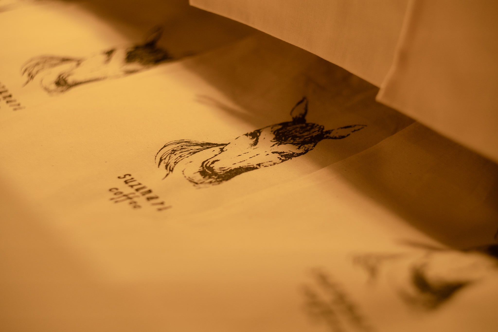 【数量限定】福袋 2026 (若緑）