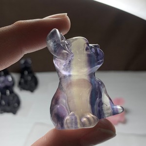 13.フローライト・フレンチブルドッグ