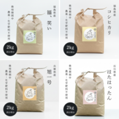 GIRO米 お歳暮ギフトセット【名入れ対応】　