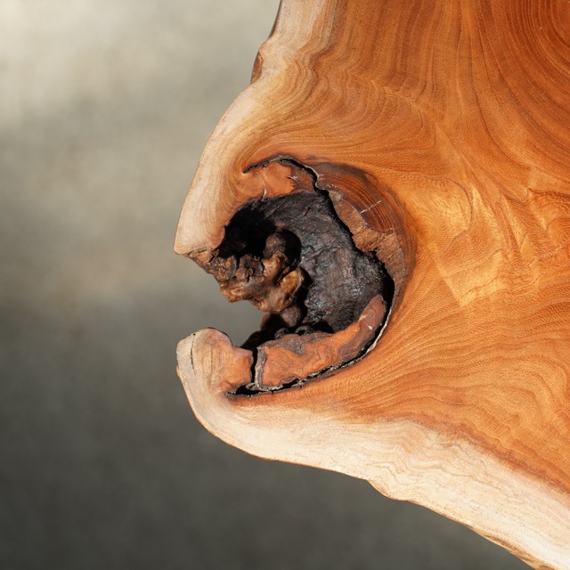 大きな節が二つある欅の輪切り一枚板　コーヒーテーブル（高さ・カラー変更無料）