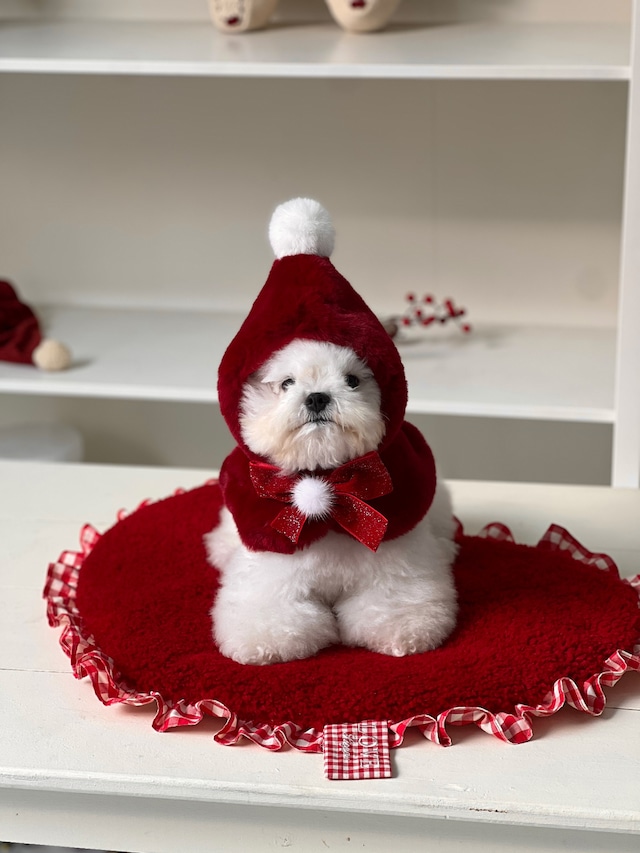 予約【SICGGU】Burgundy Red Cloak Ver.2