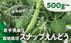 【シャキシャキ食感！】とっても甘い「スナップえんどう」約500g～