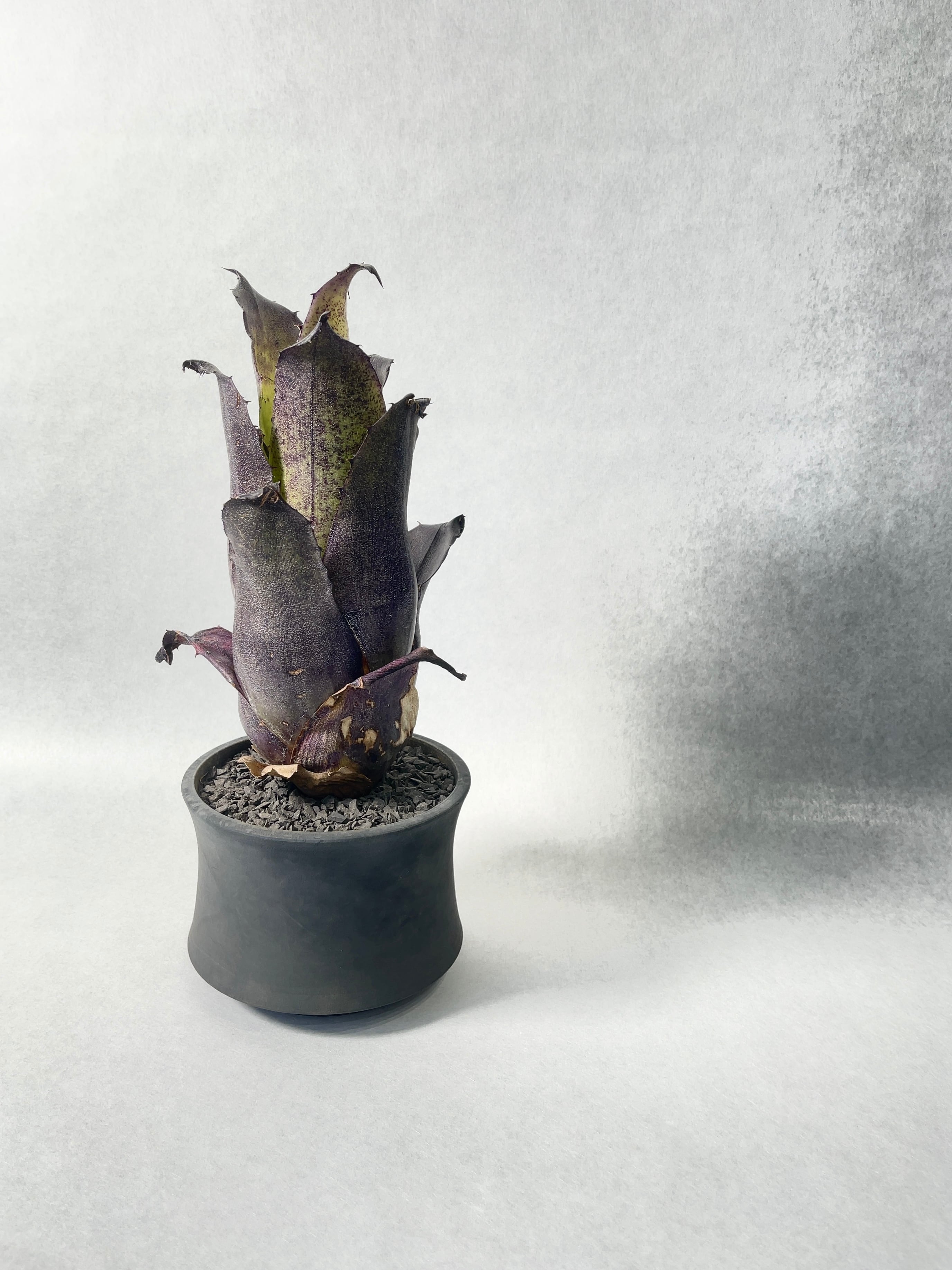 63061c76f881eb0e492bb02b11fdef