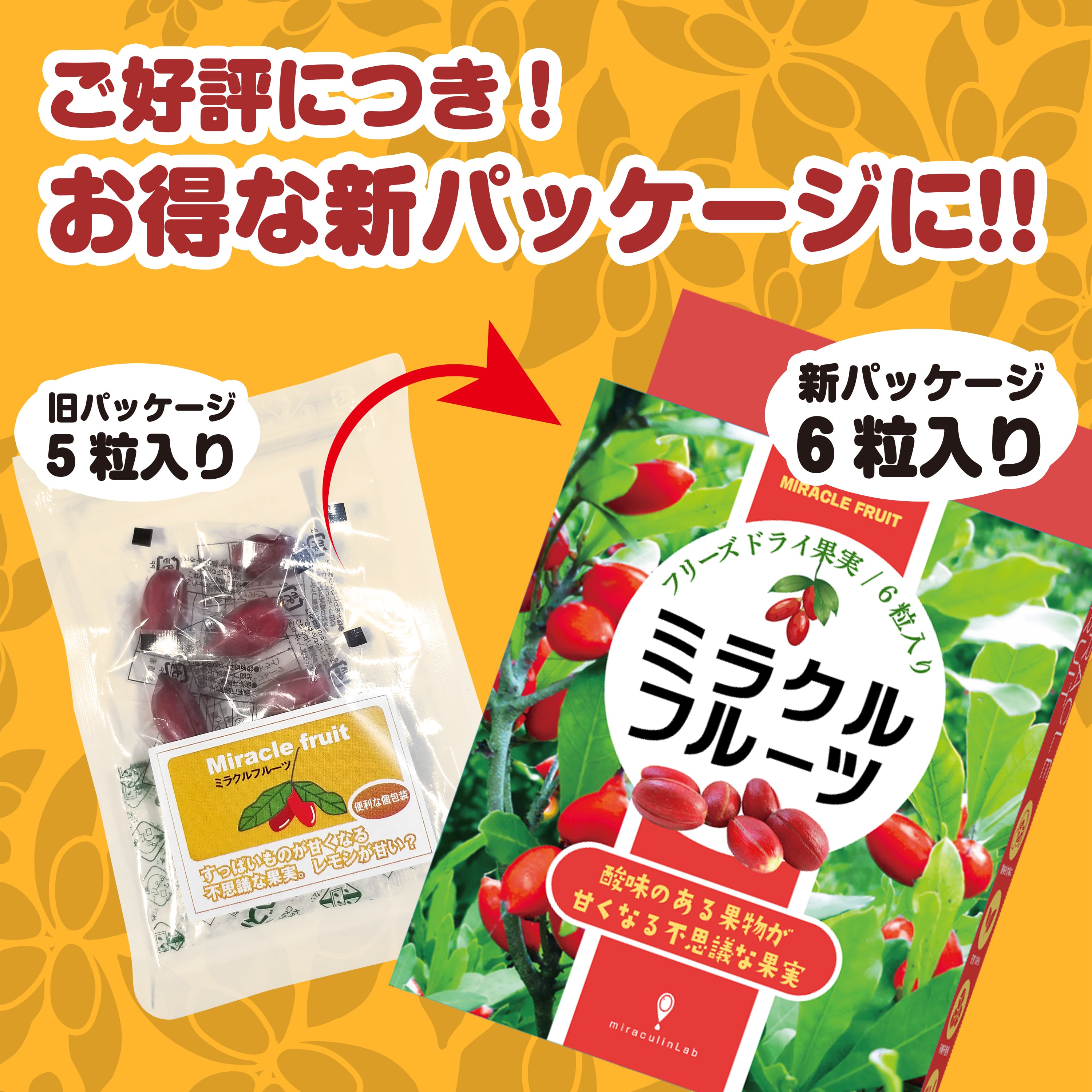 定期購入【7月1日～順次発送開始！】10%OFF＋初回ミラクルフルーツ