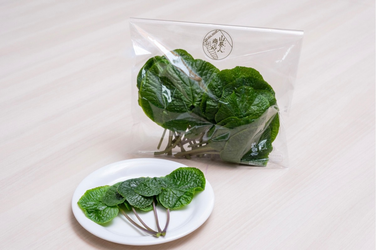 わさび葉茎【調理用・真妻】200g | 山葵人商店