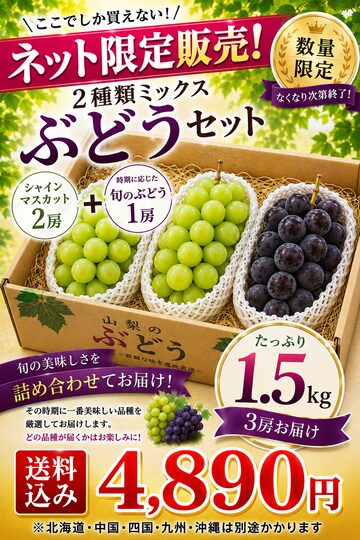 予約販売・送料込み】【家庭用】宮古島産 完熟マンゴー 約4kg (9〜10玉