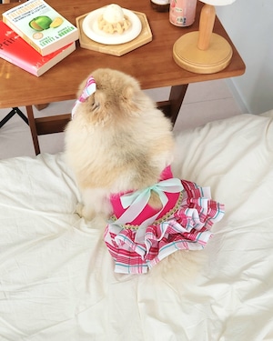 S.M/即納【Loocia】HotPink Tutu Dress