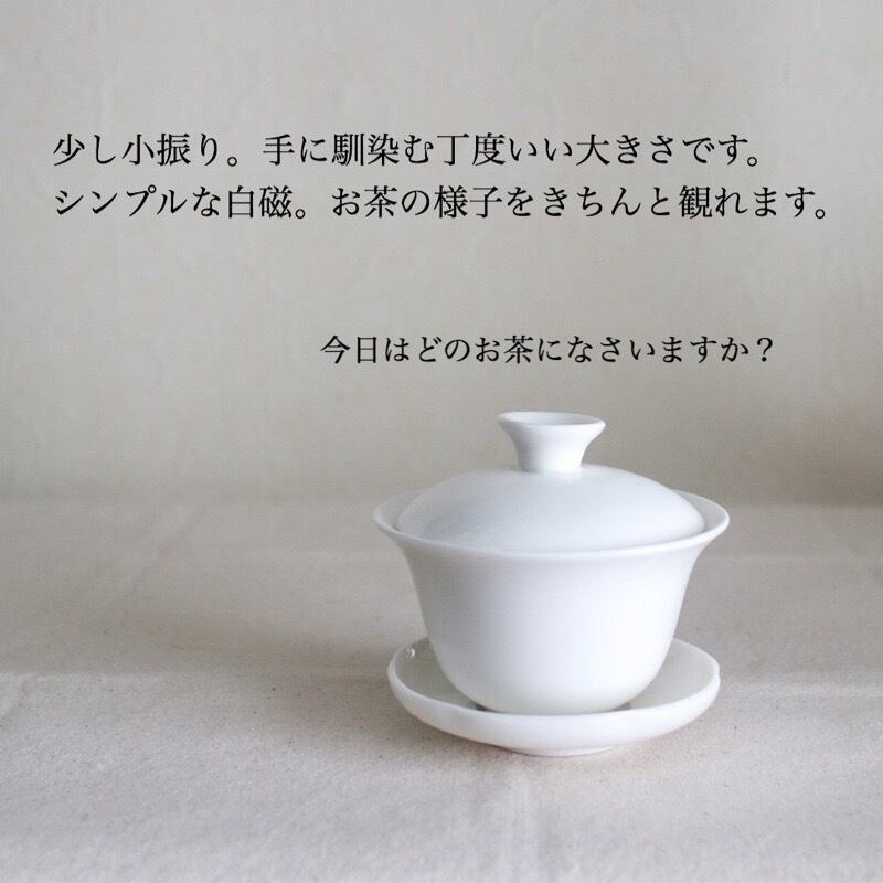 器　碗　1客　蓋付き　茶碗　陶磁器 Amazon.co.jp: 手绘蓋碗手蓋碗茶杯蓋碗中国茶器セット,茶碗,大蓋碗