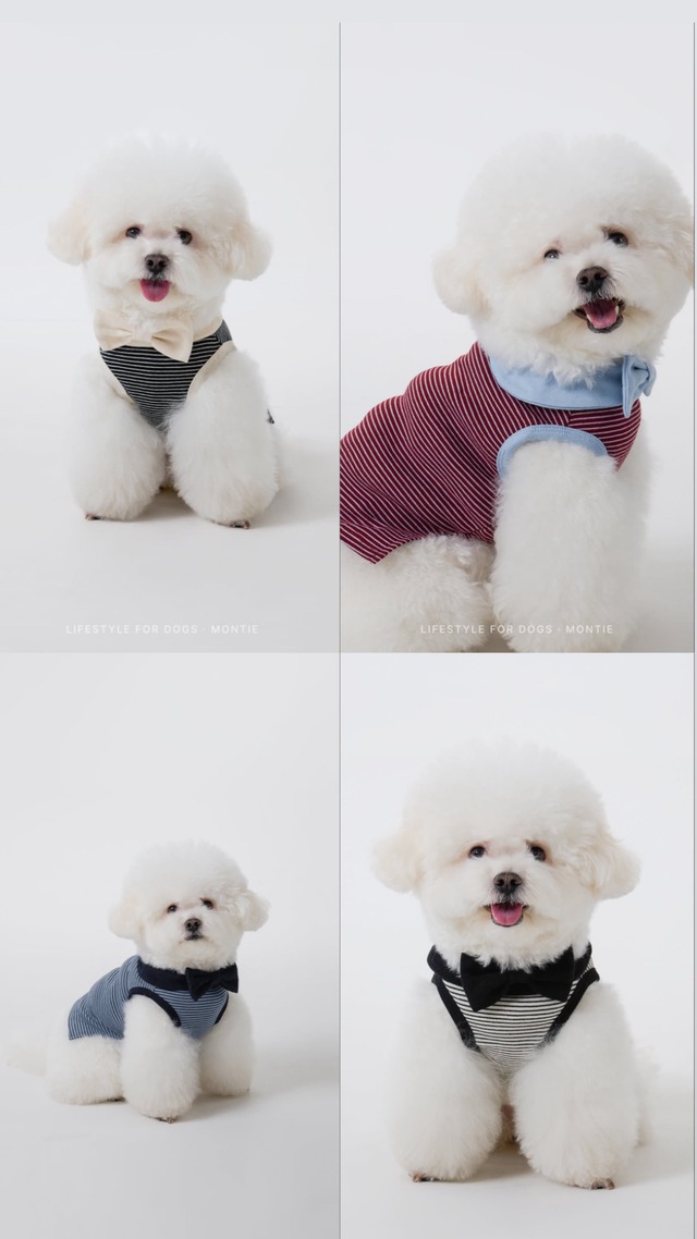予約販売 Betty Sleeveless（4 color）韓国犬服　montie