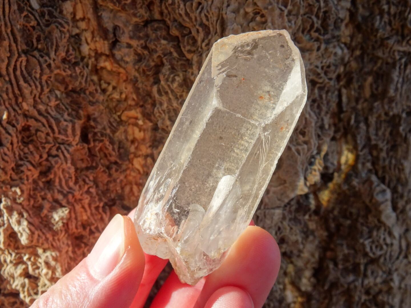 モンドクォーツ(Wild Monds)