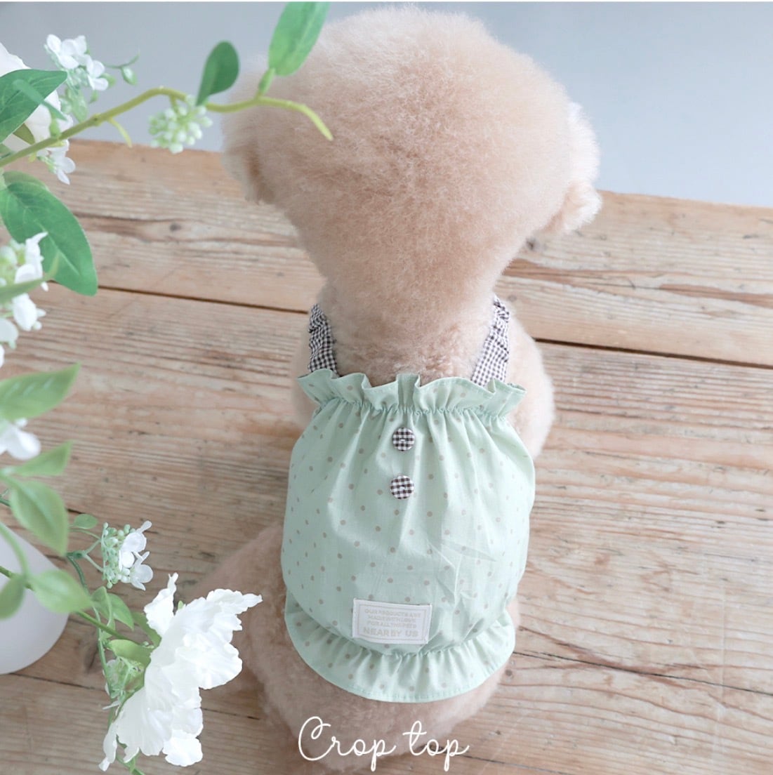 □ near by us | LUANA DOG