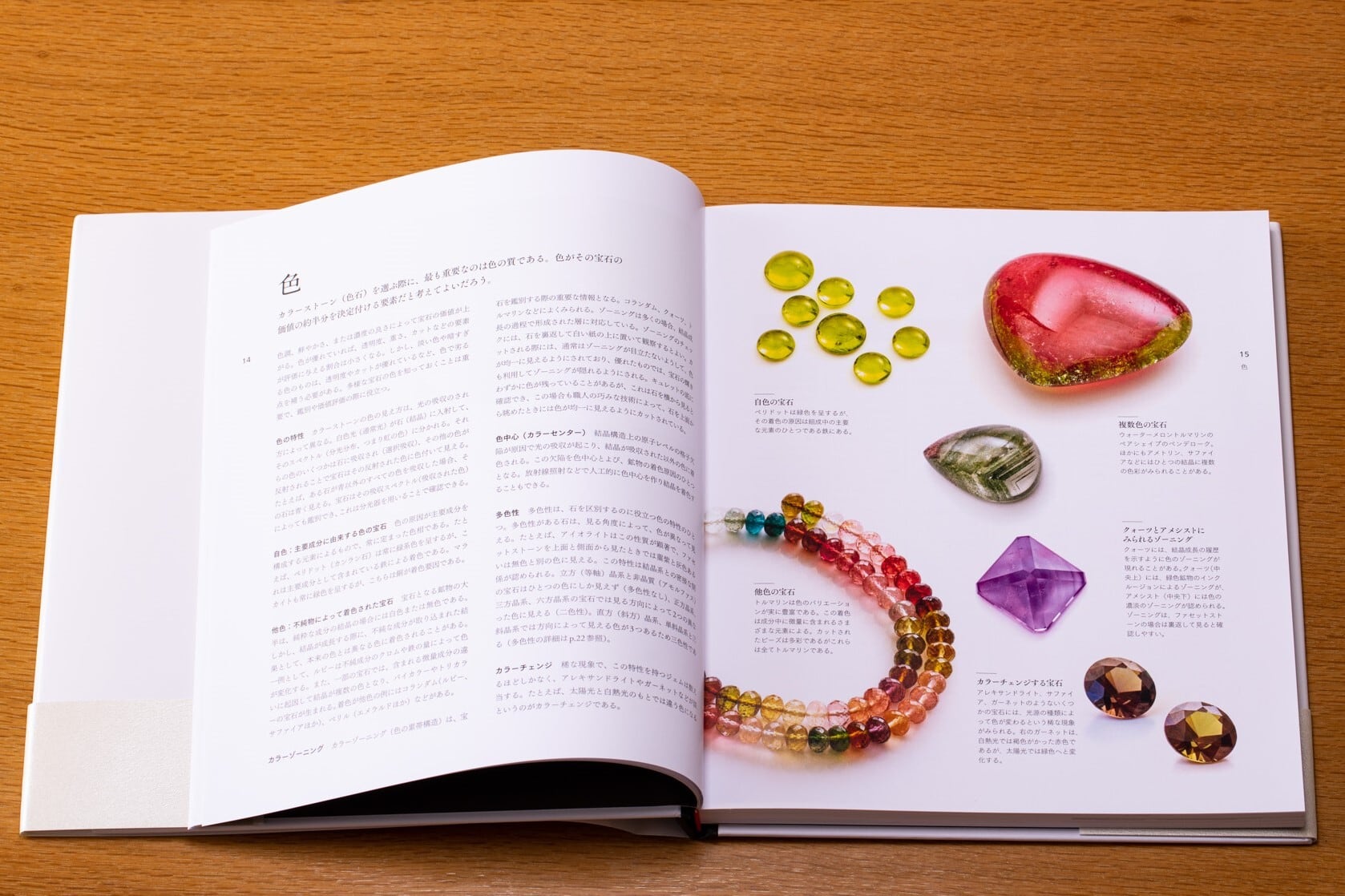 世界を魅了する美しい宝石図鑑 | かざりすの森