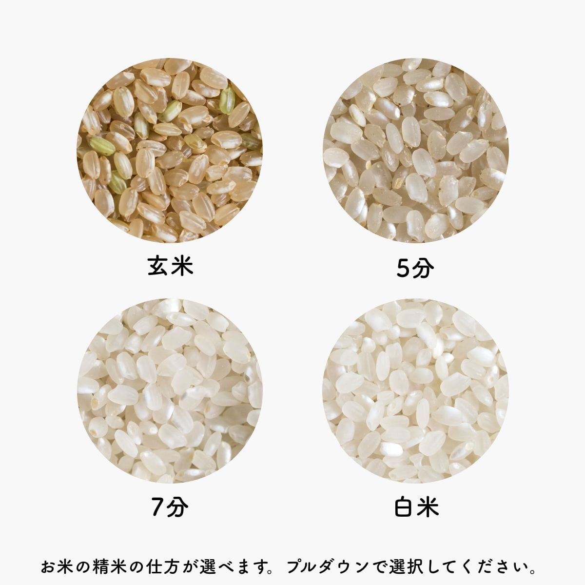 新米予約】ササニシキ - 5Kg（令和7年産） | 勘六縁のお米