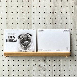 バースデーカード　パグ　輸入ポストカード
