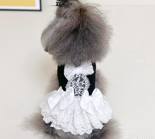 【予約】№3102051 モノトーンレースワンピース