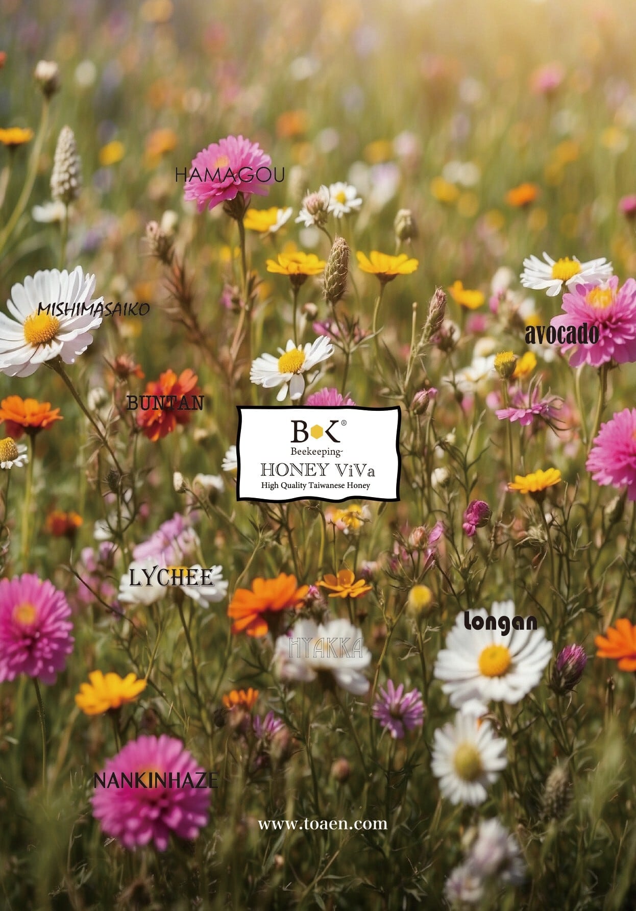 台湾産アボカドはちみつ140g | Beekeeping®｜百年台湾養蜂老舗 東亜園