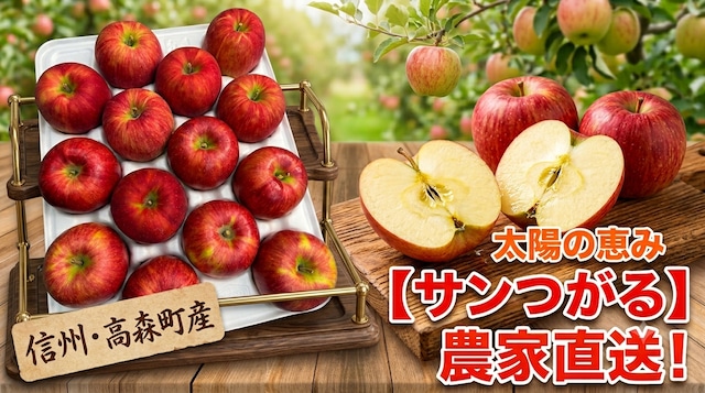 【一足早い秋の味覚！】ジューシーで甘いサンつがる　自家用【農家直送】