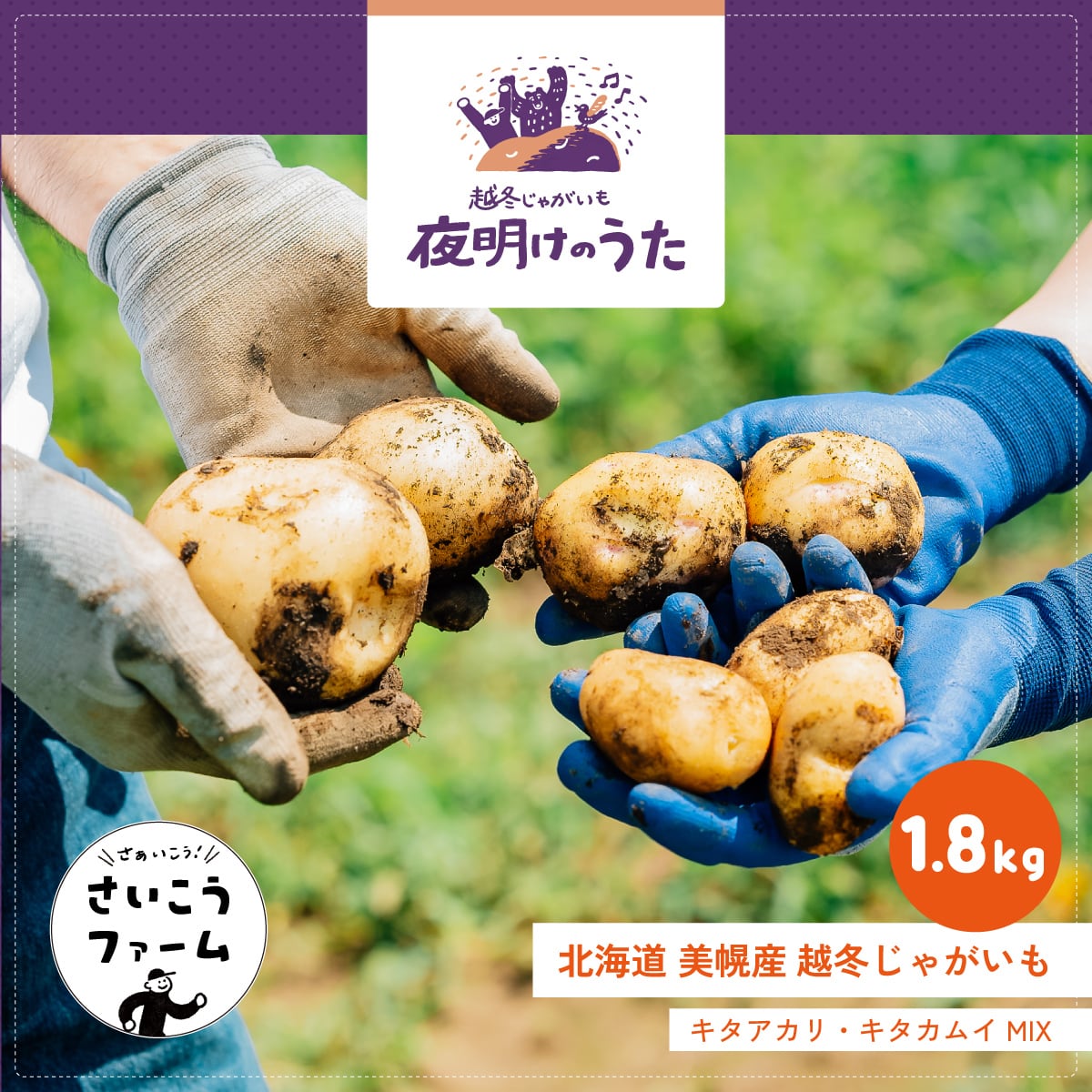 順次発送】送料無料☆熟成じゃがいも2026「夜明けのうた」1.8kg