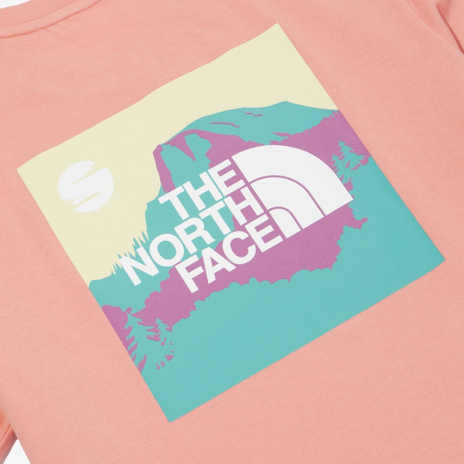 ノースフェイス Tシャツ THE NORTH FACE COLOR PEAK S/S R/TEE WM1094 