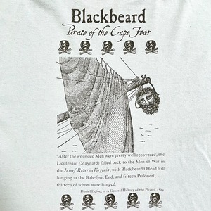 【GILDAN】FORT FISHER STATE BLACKBEARD ワンポイントロゴ Tシャツ バックプリント 歴史地区 海賊 黒髭 スカイブルー 半袖 us古着