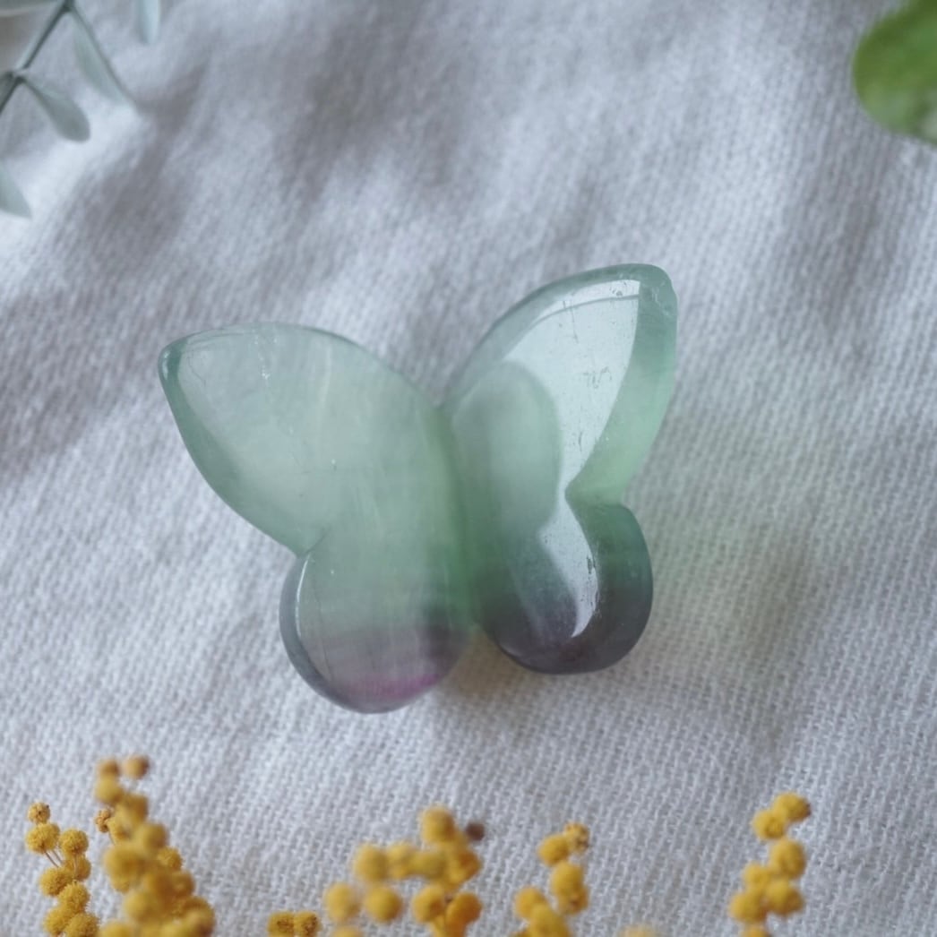 フローライトのちょうちょ