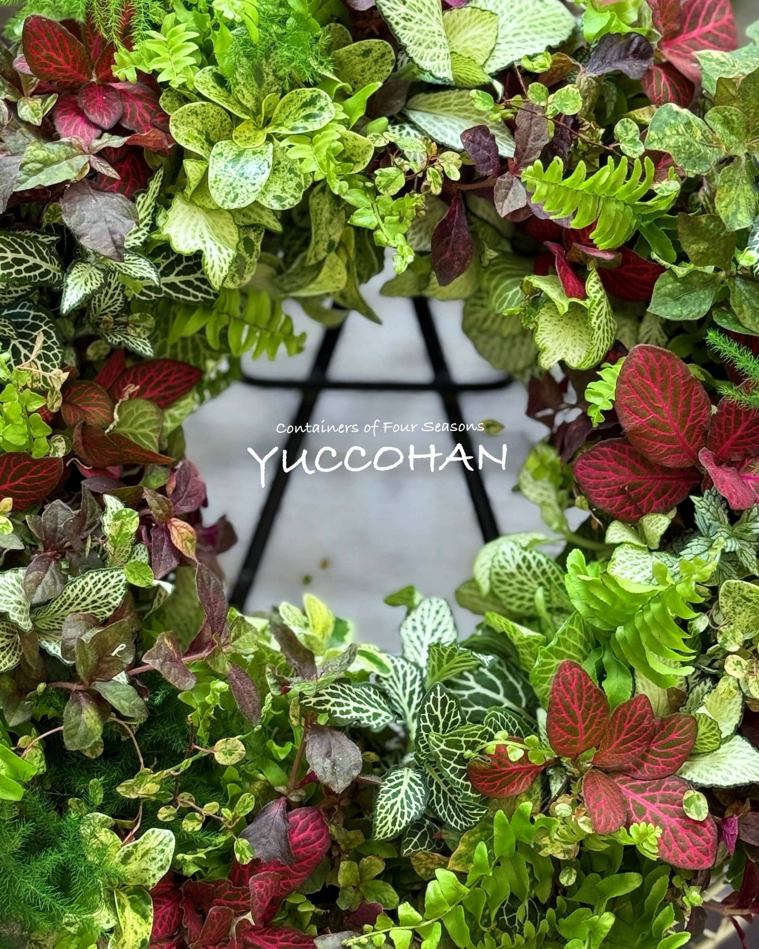 夏のグリーンリース | 寄せ植え屋ゆっこはん