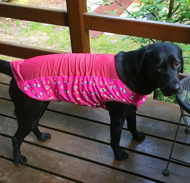 わんこ服大型犬LL "明るい紫色のストレッチ布とシックな襟＆スカートのワンピ”F-2