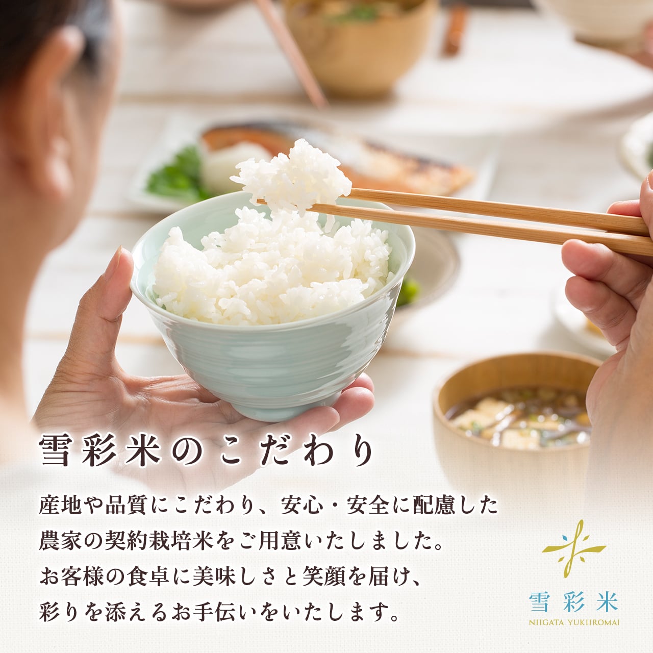 雪彩米Premier】令和7年産 長岡産 減農薬 従来種コシヒカリ 27kg | 雪