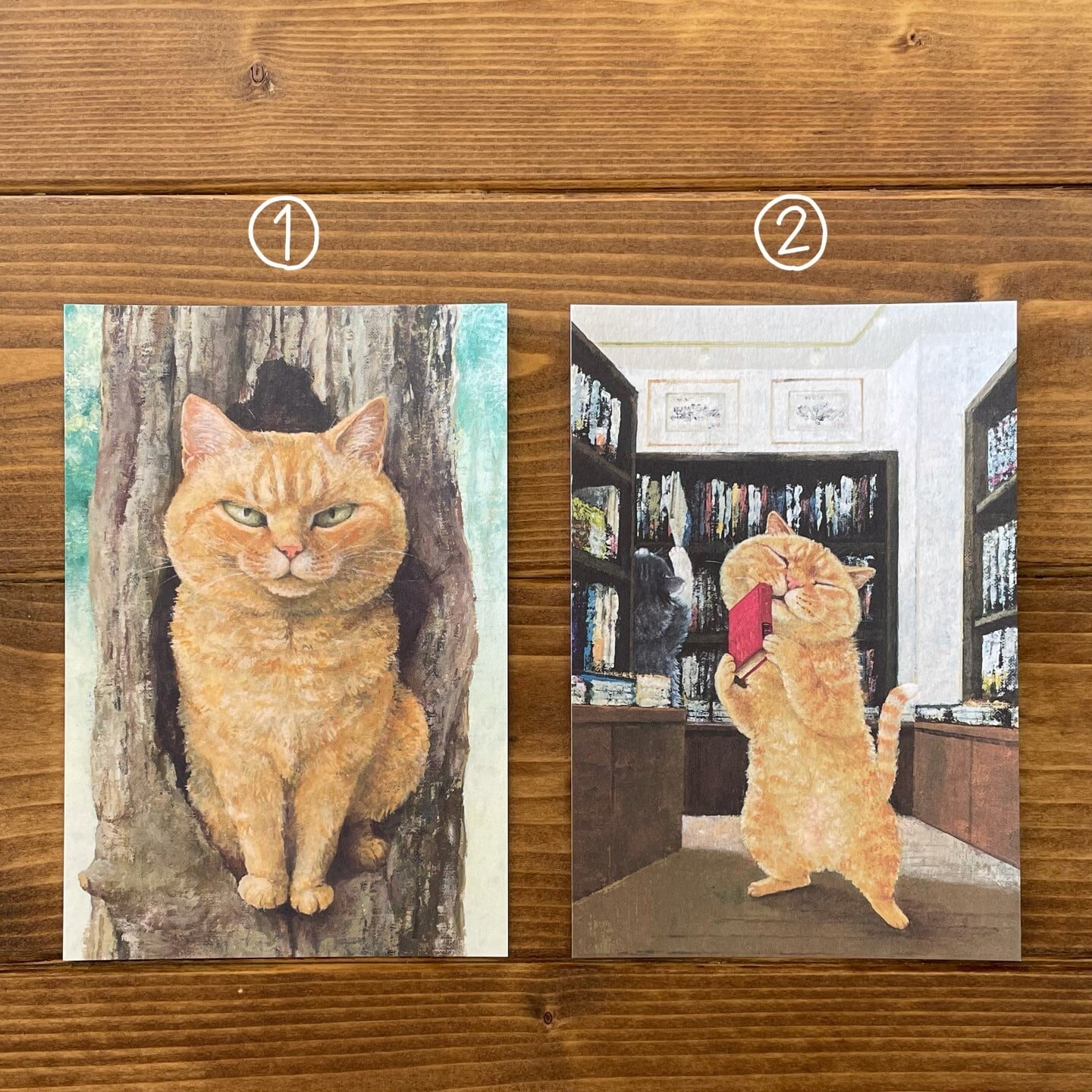 ねこパンツくん　　ポストカード Amazon.co.jp: ねこぺん日和 ポストカード こうきゅうなくるま