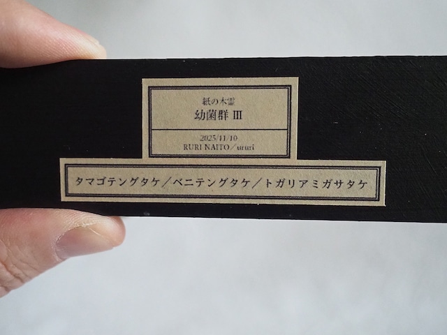 内藤瑠里　和紙のきのこ模型 ” 幼菌群 Ⅲ "