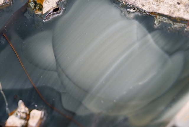 ブルーマウンテンジャスパー Jasper  ②