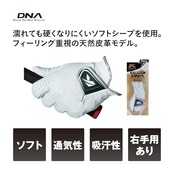 キャスコ(Kasco)ゴルフグローブ 天然皮革 DNA SHEEP GF-2012 左手用 白 22cm
